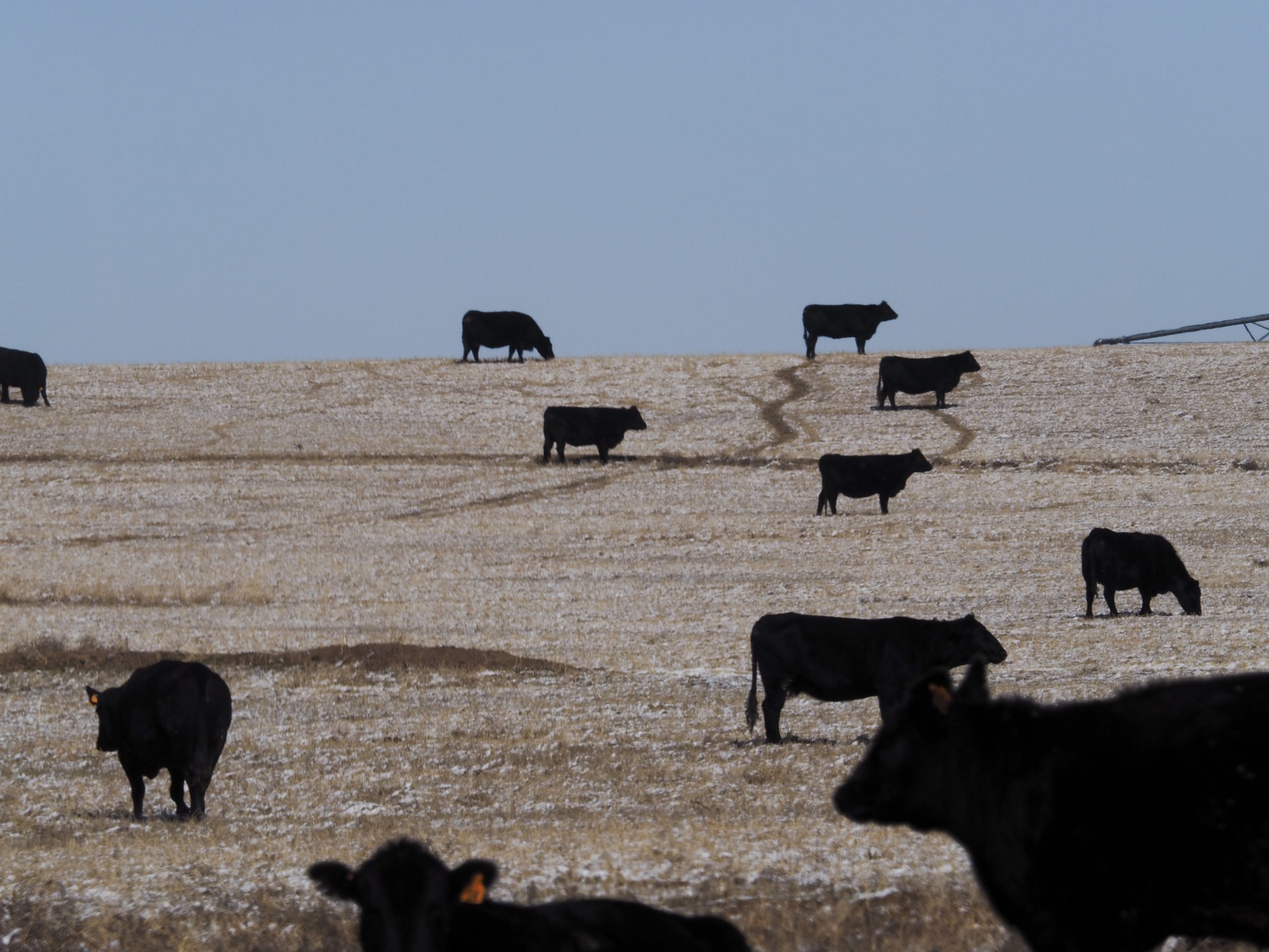 Farms use 80% of the West's water. Some in Colorado use less, a