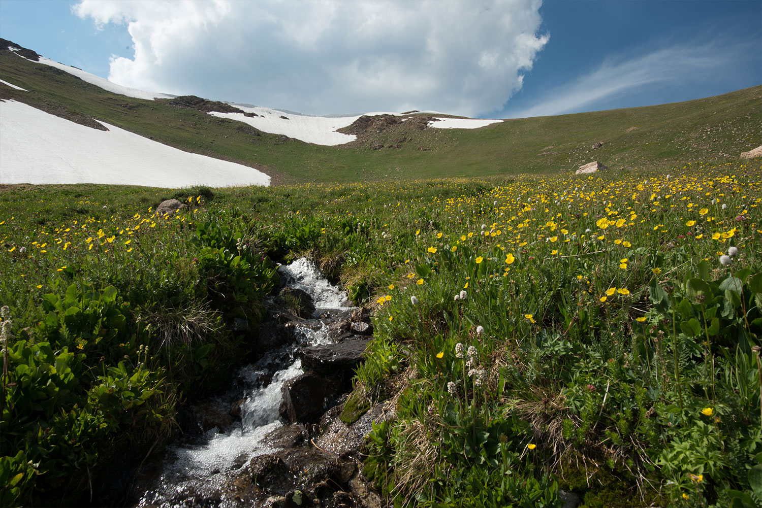 Surface Water Water Education Colorado