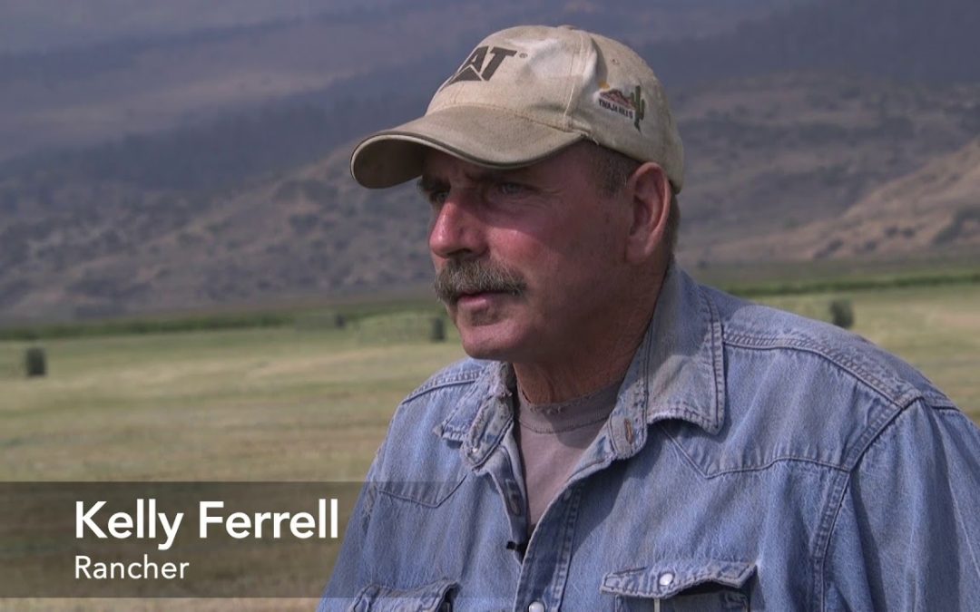Come along as PBS’ This American Land, Fresh Water News track an historic research effort on high-altitude hay meadows in the Upper Colorado River
