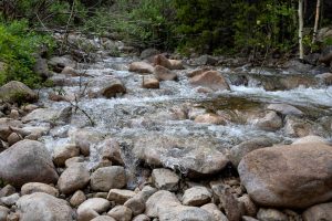 Water from the South St. Vrain Creek fills the original stream bed when the diversion gate opened several yards uphill, July 1, near Ward. (Hugh Carey, The Colorado Sun)