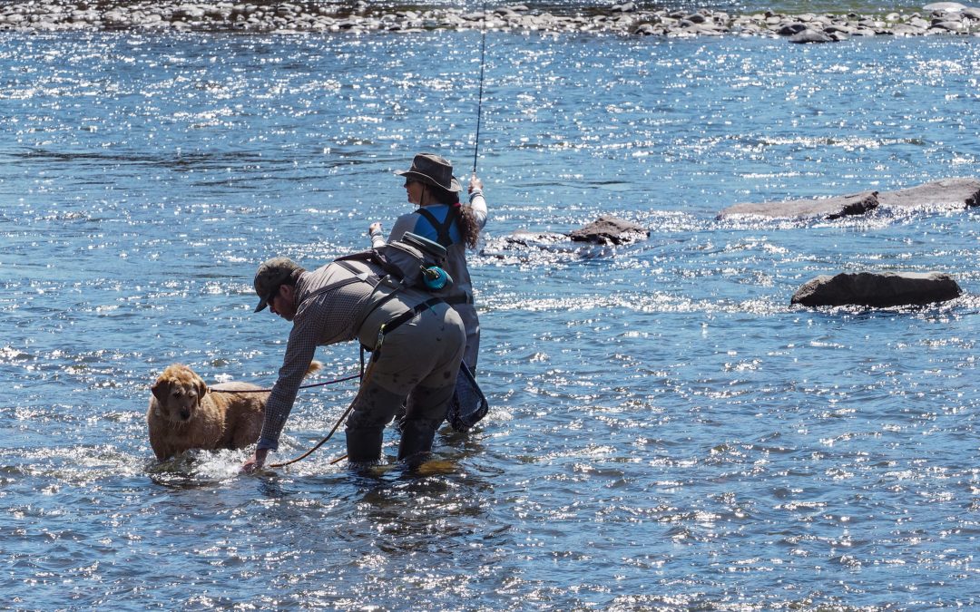 River advocates say promises broken on state-funded Rio Grande dam safety project