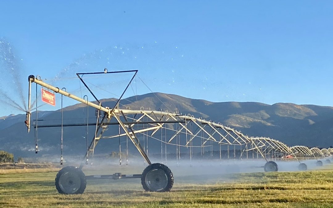 Myth: Cutting agricultural water use in Colorado could prevent looming water shortages. But is it worth the cost?