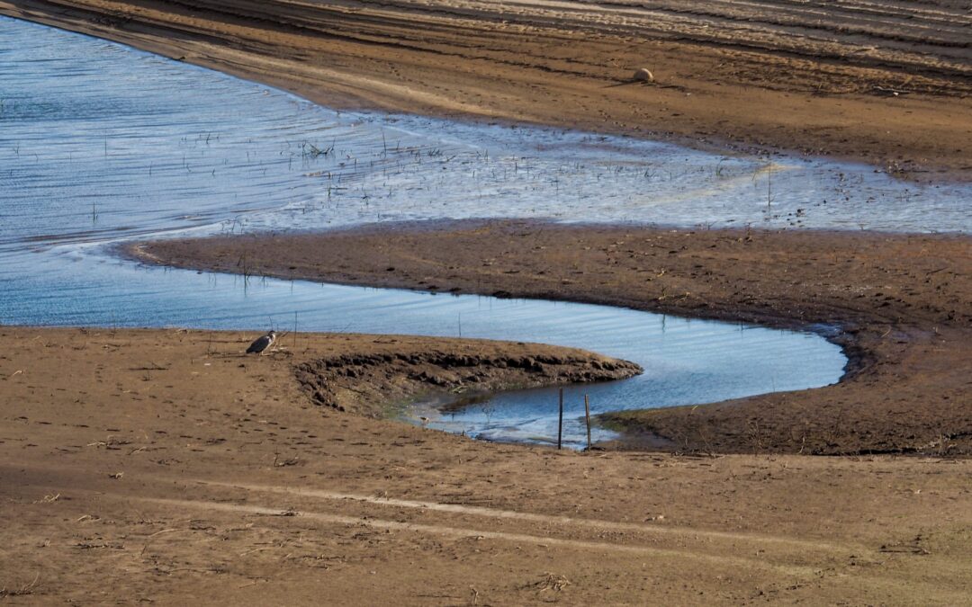 Progress slows to a trickle during negotiations on how to manage Colorado River’s water