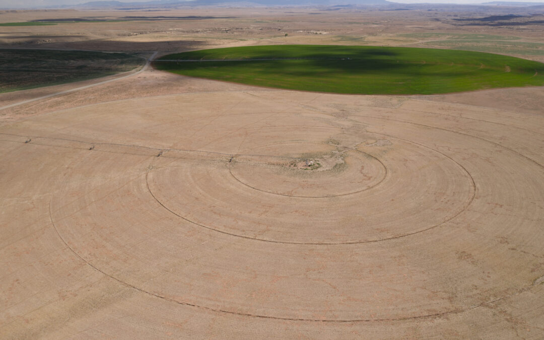 Farmers, ranchers cut back Colorado River water use while enduring one of the driest seasons on record